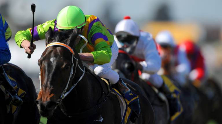 Punchestown Festival