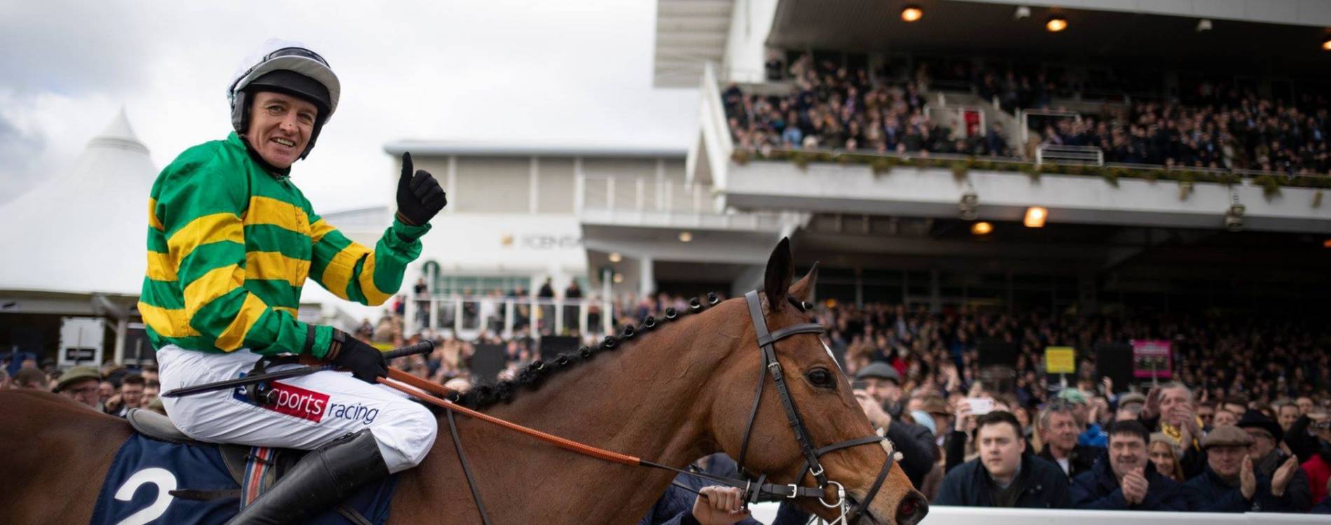 Punchestown Festival winner