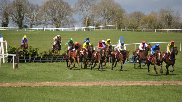 Punchestown Racecourse