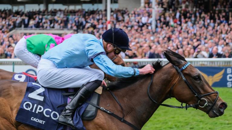 The Betfred Guineas Festival