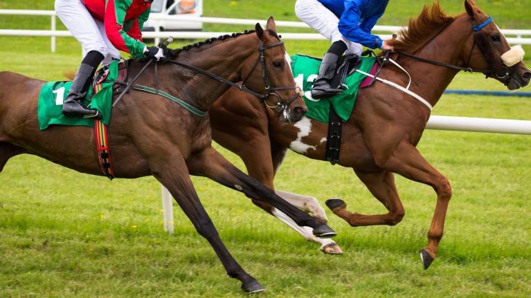 The Betfred Guineas Festival