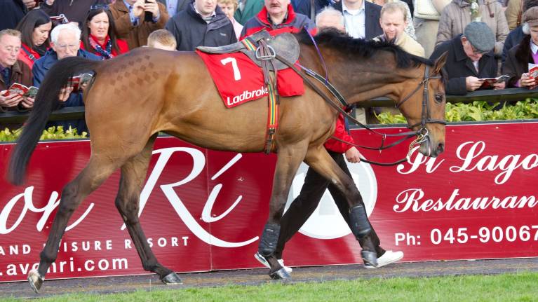 Quevega Mares Hurdle Day