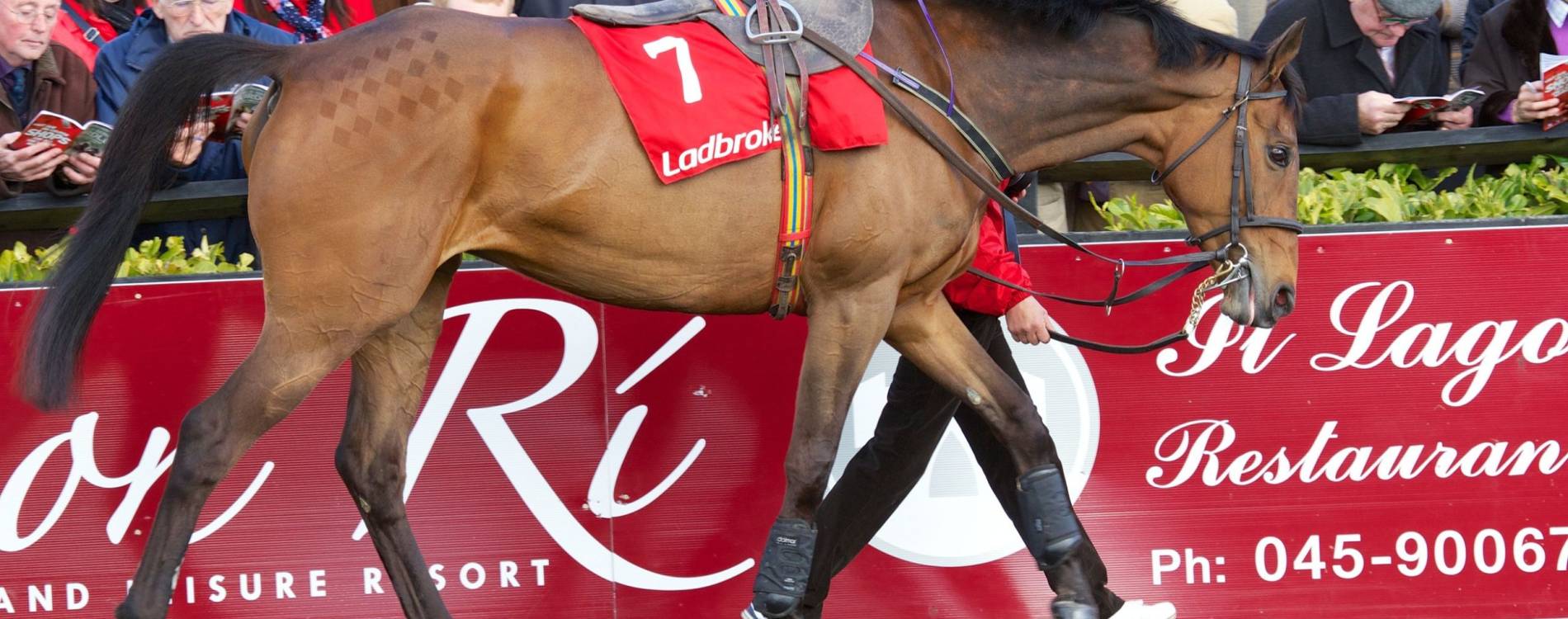 Quevega Mares Hurdle Day