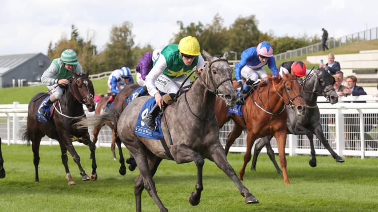 Ballyhane Stakes Day