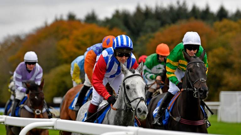 PricedUp Christmas Cup Raceday