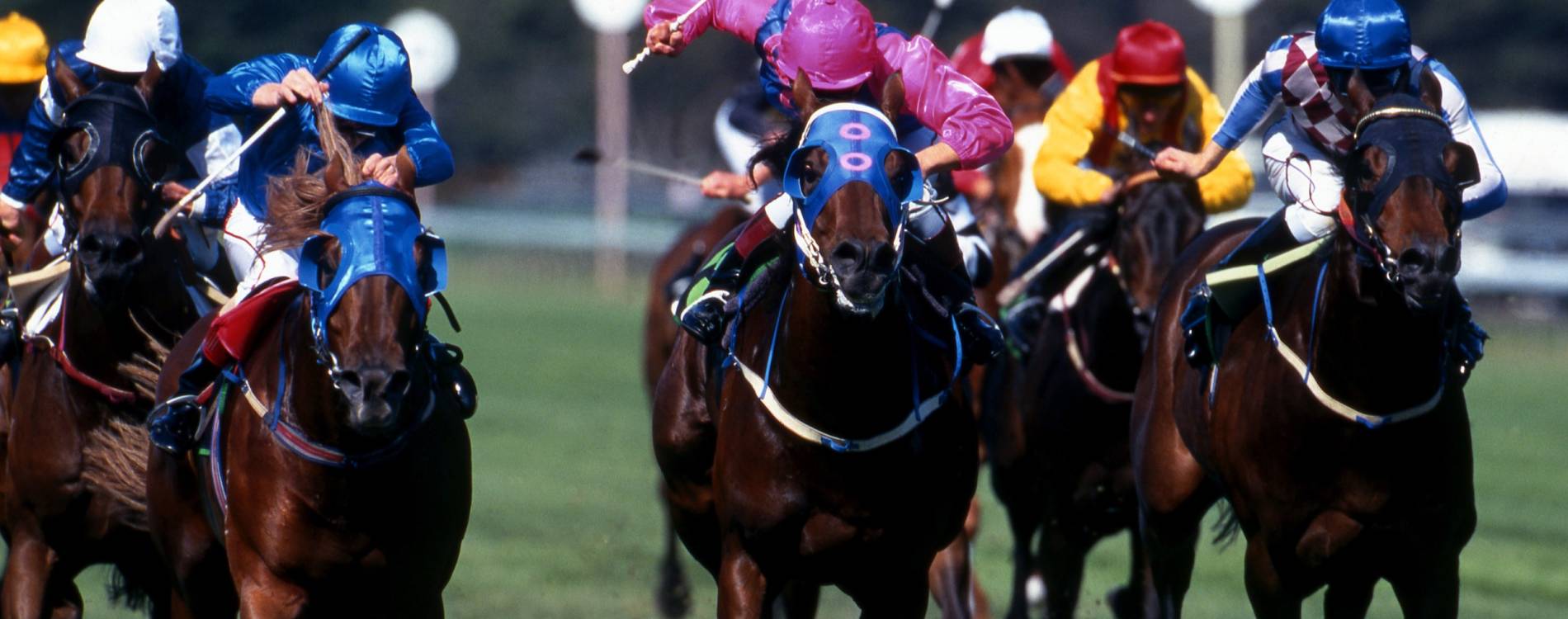 Raceday at Exeter