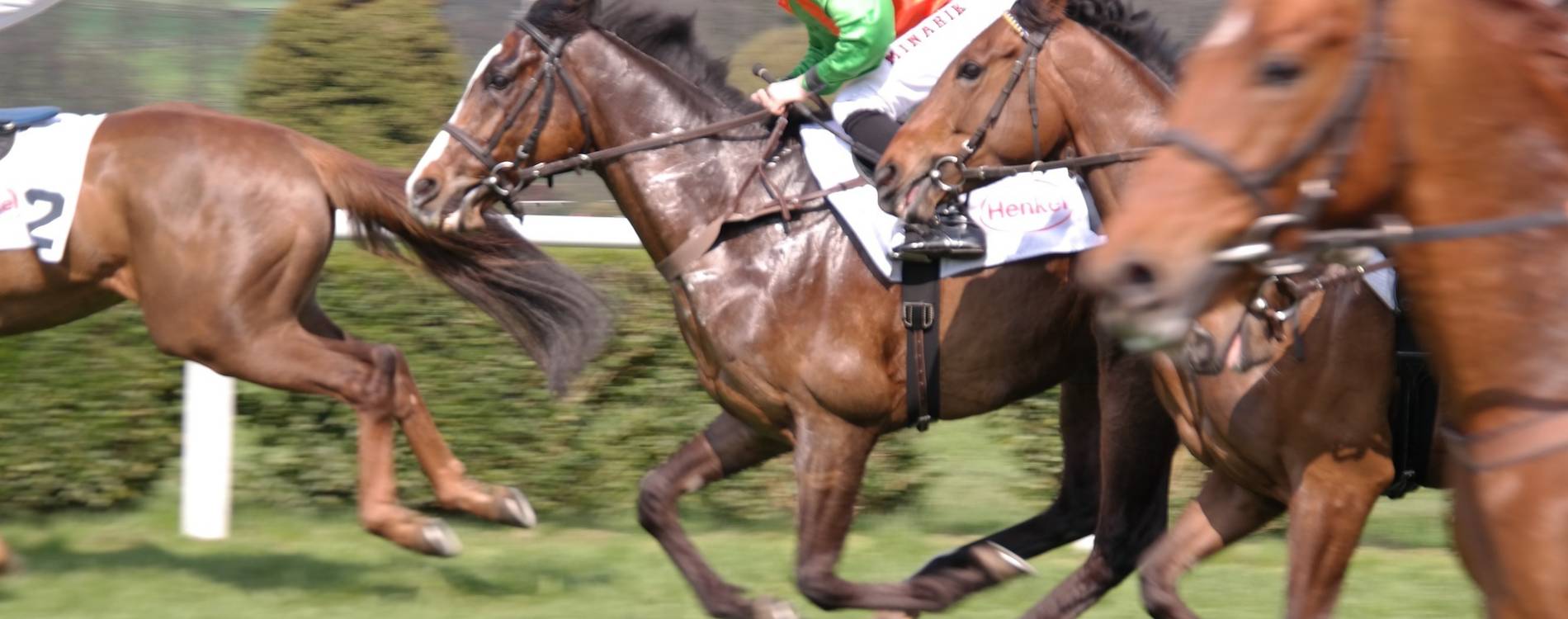 Racehorse running along the track
