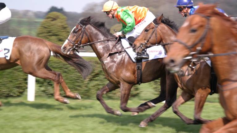 Cheltenham From Afar Raceday