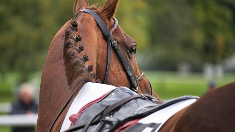 Sidney Banks & Lady Protectress Raceday