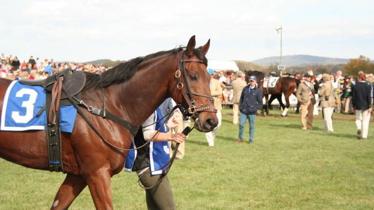 John Bigg 'Oxo' Raceday