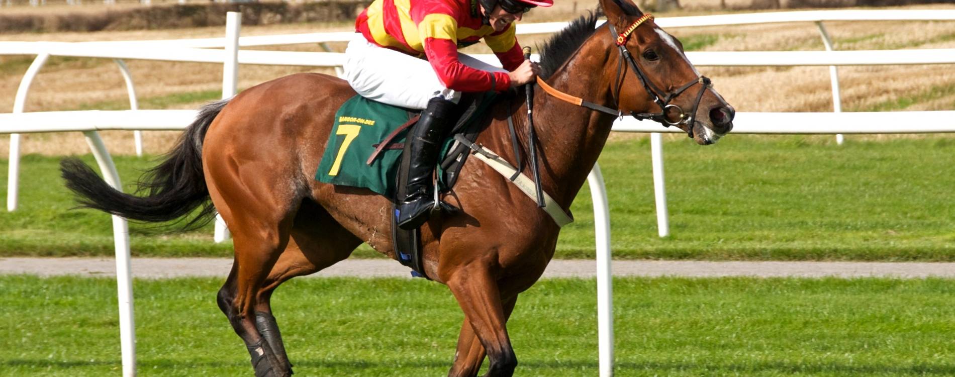 Racing at Bangor-on-Dee