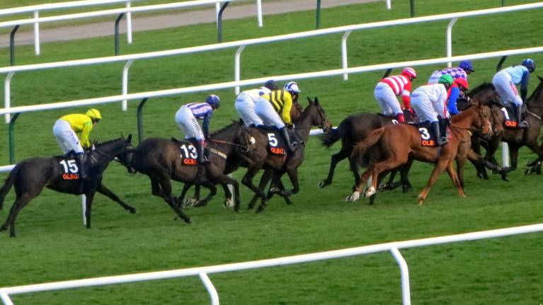 Festival Trials Day