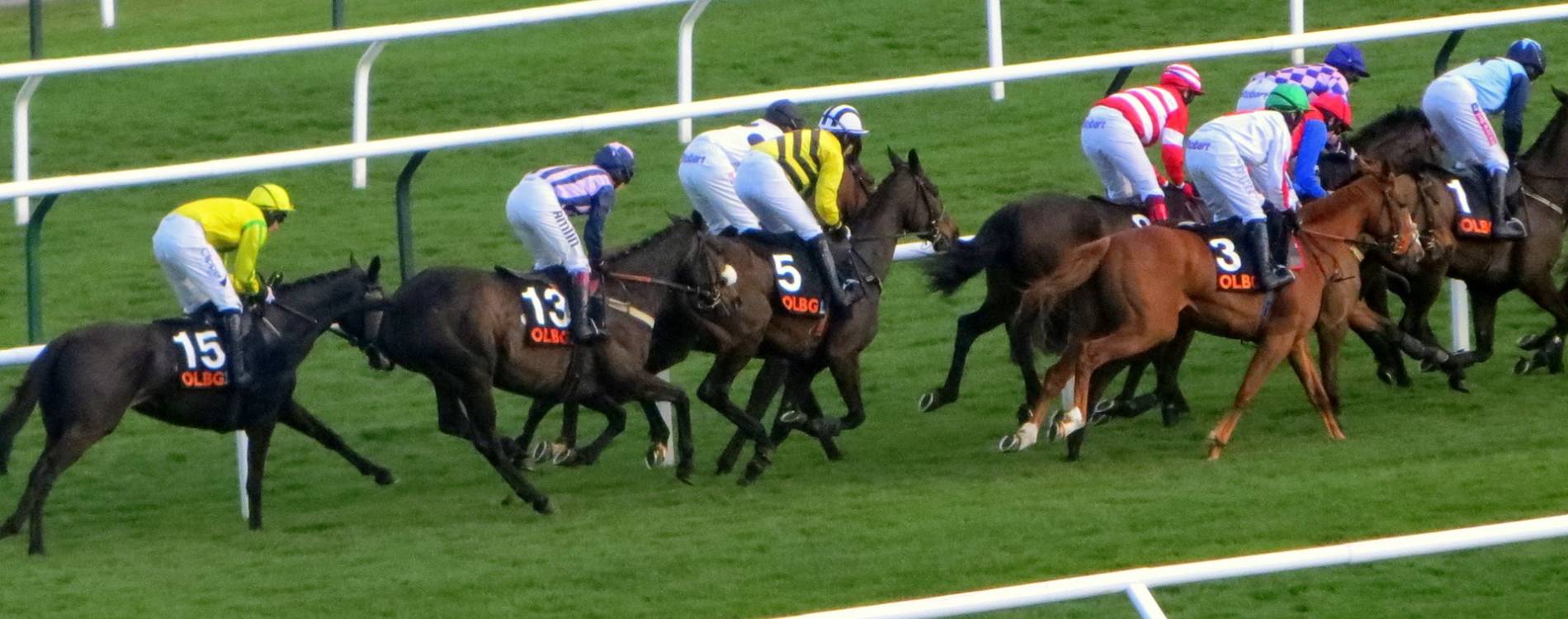 Racing at Cheltenham