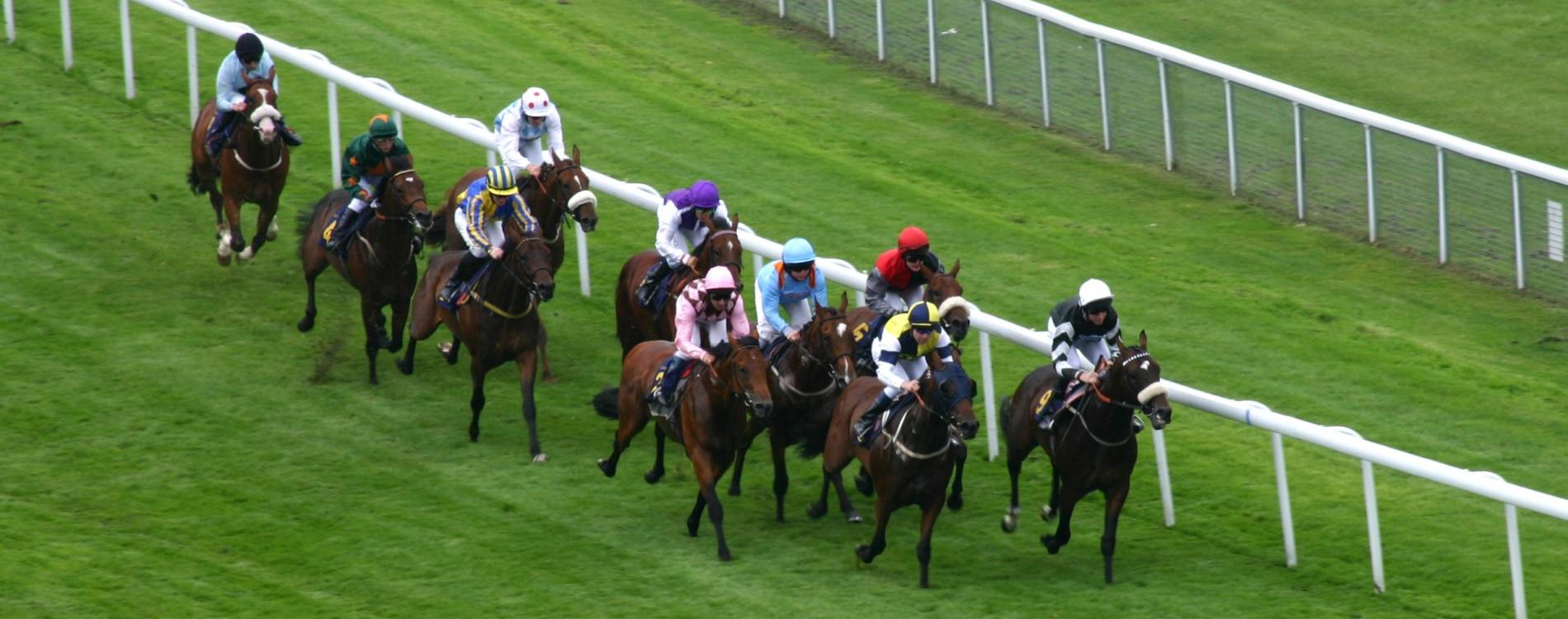 Racing at Chester