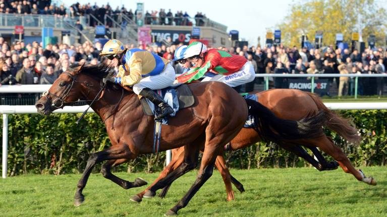 Christmas Jumper Raceday