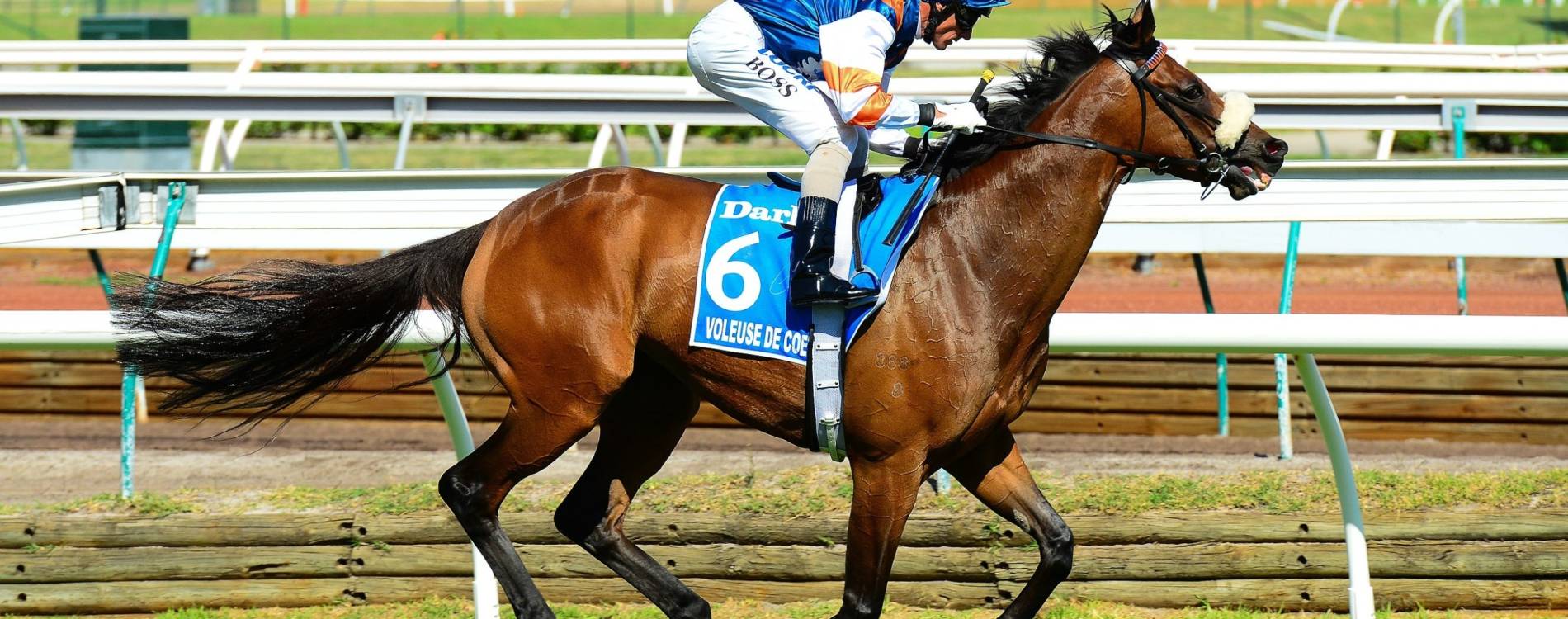 Racing at Flemington