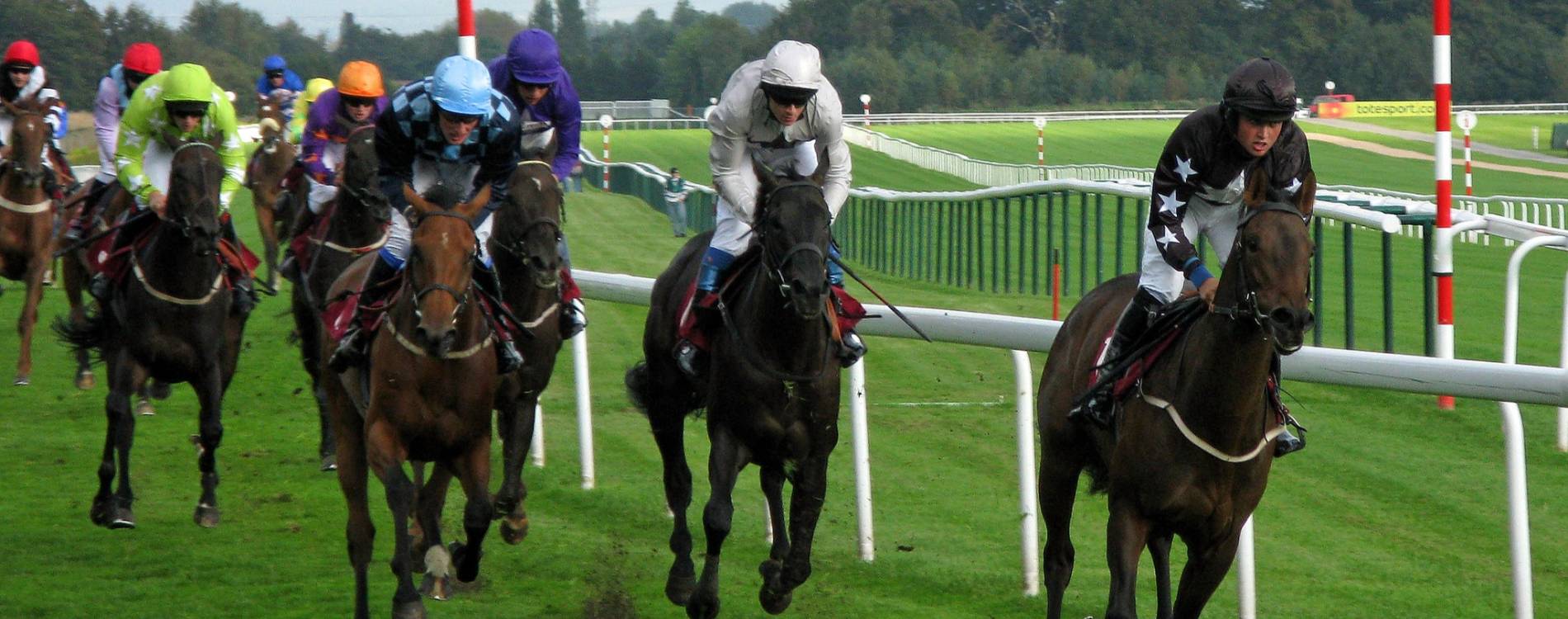 Racing at Haydock