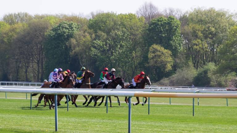 Betfred Tommy Whittle Chase Day