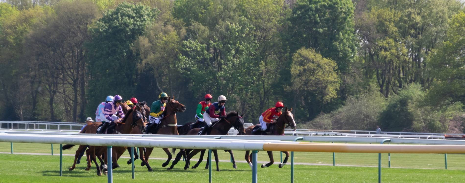 Racing at Haydock