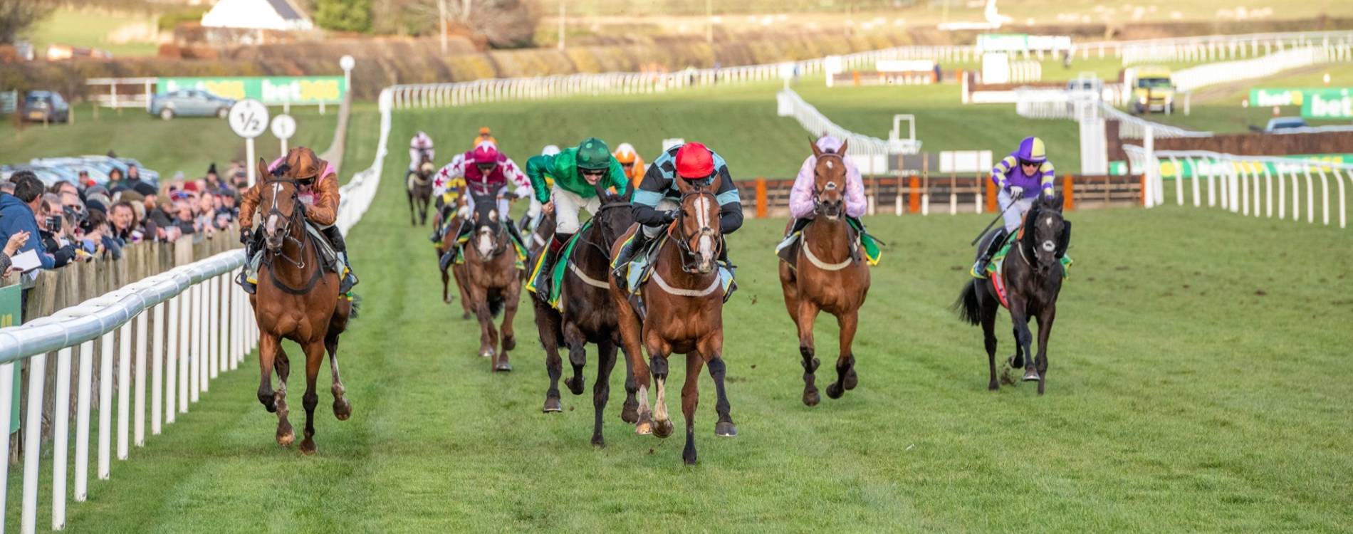 The Chairman's Cup Tickets 12 Jan 2025* Kelso Racecourse Koobit