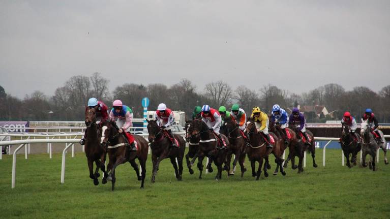 September Stakes Raceday