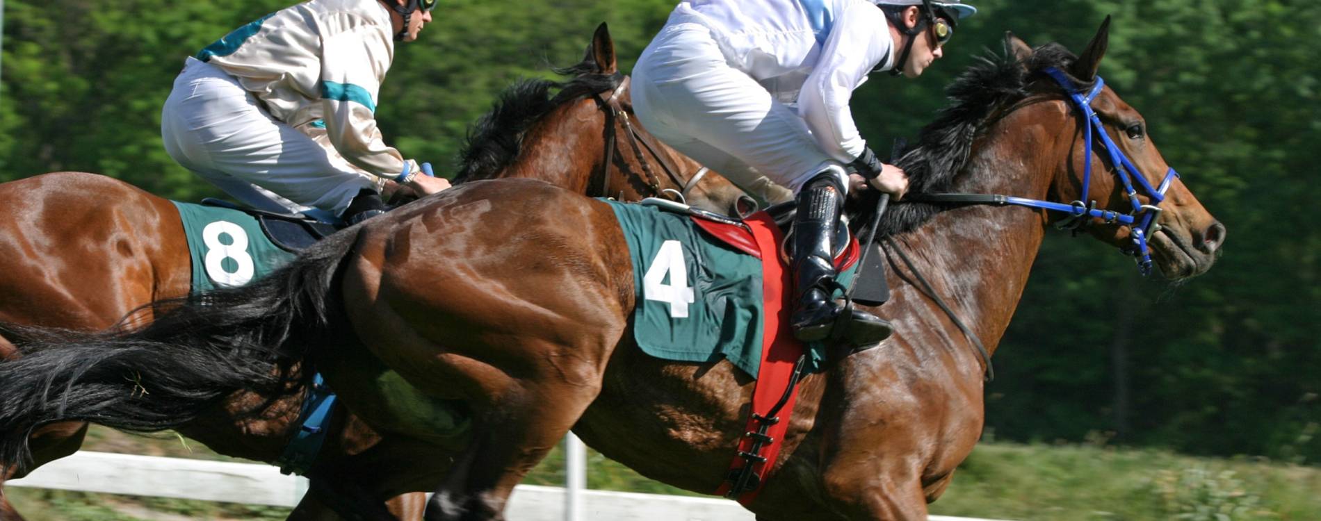Racing at Longchamp