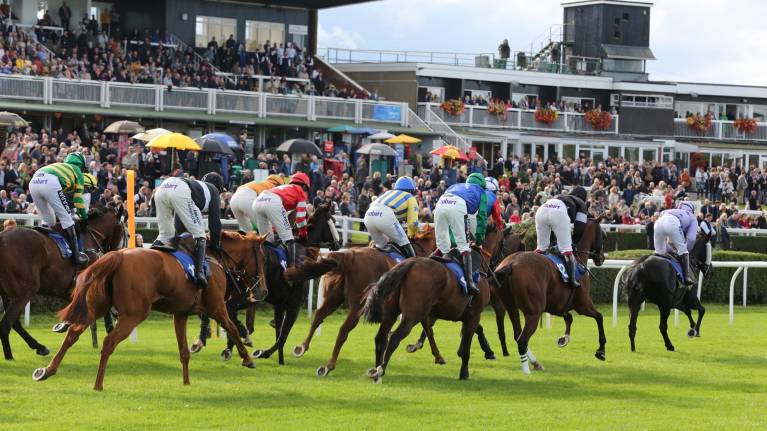 The Rand Farm Park Boxing Day Racing