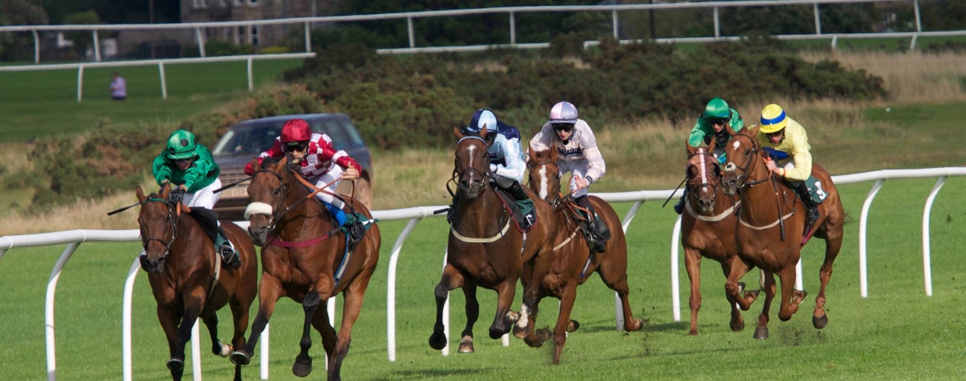 The Summer Finale Weekend Tickets 1314 Sep 2025 Musselburgh Racecourse Koobit