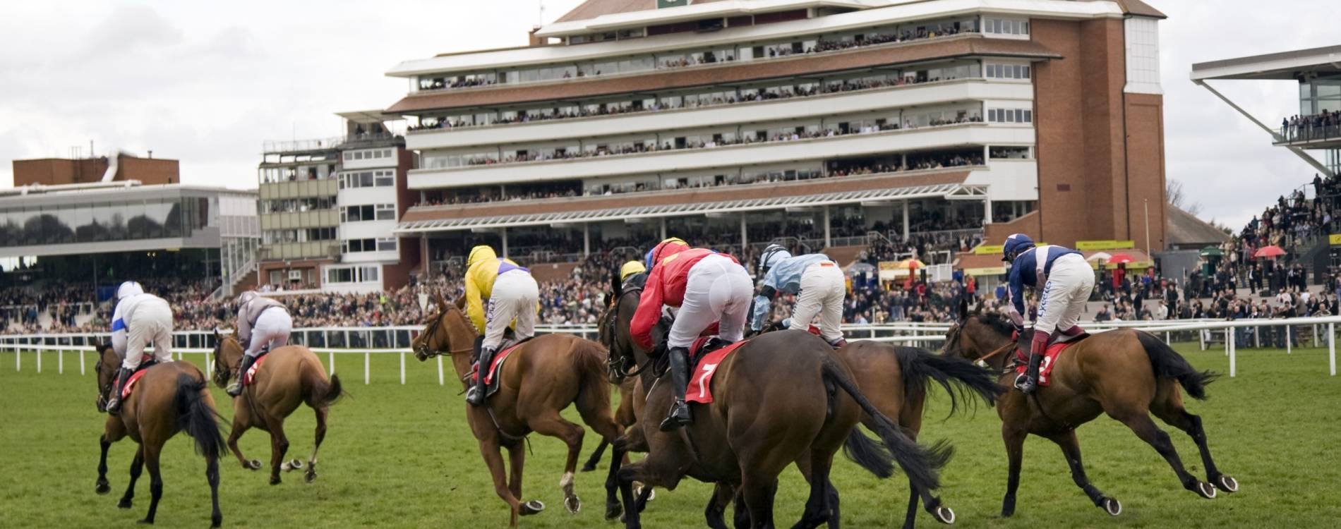 Racing at Newbury