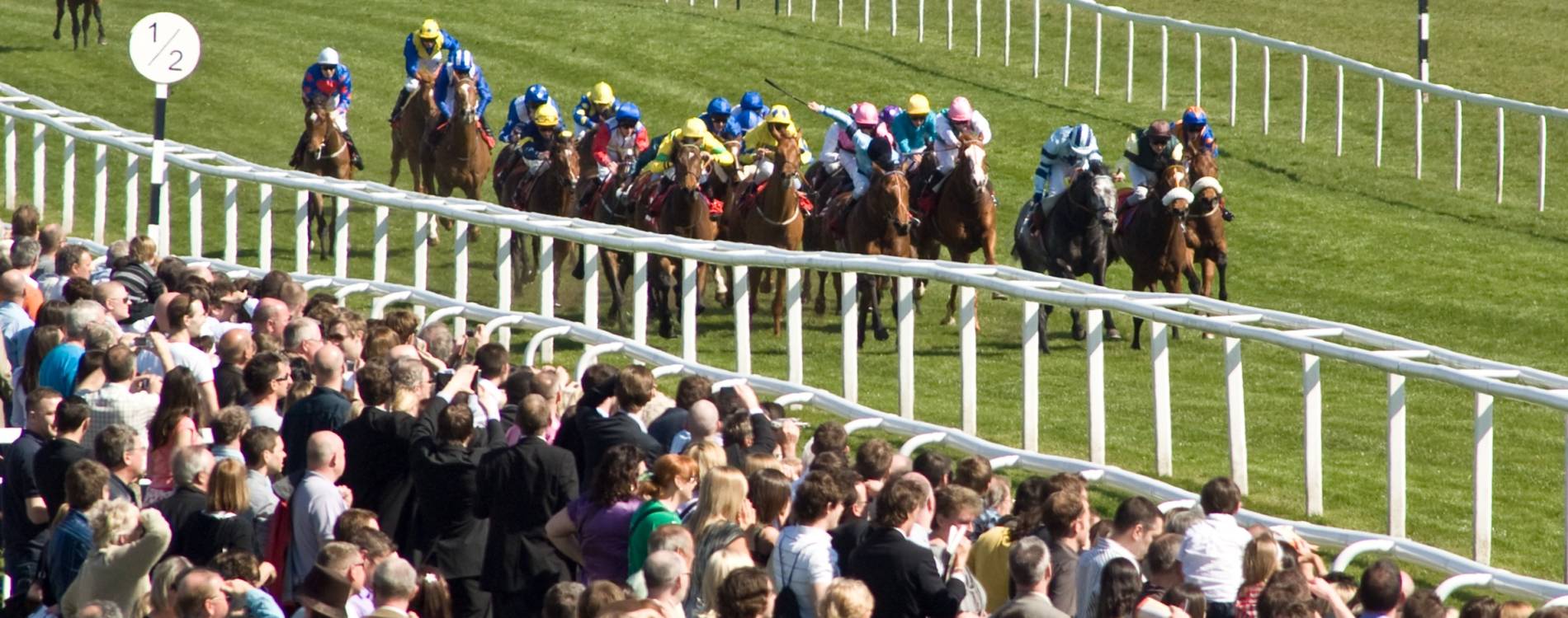 Racing at Newbury