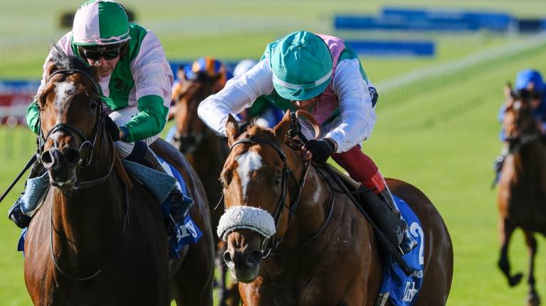 bet365 Craven Meeting