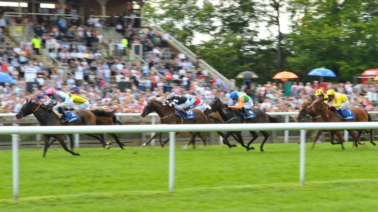 Games & Gallops Raceday