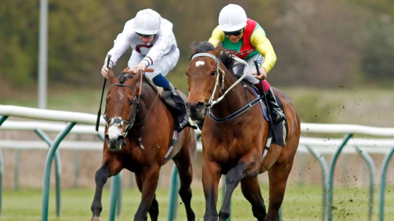 £9 Afternoon Raceday