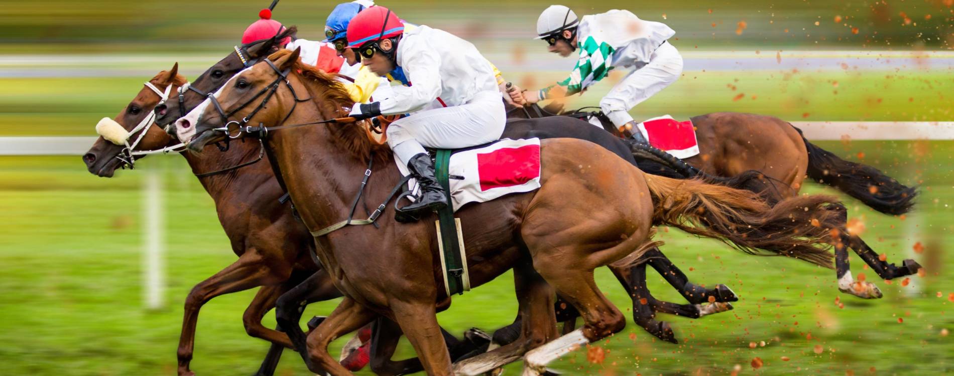 Racing at Punchestown