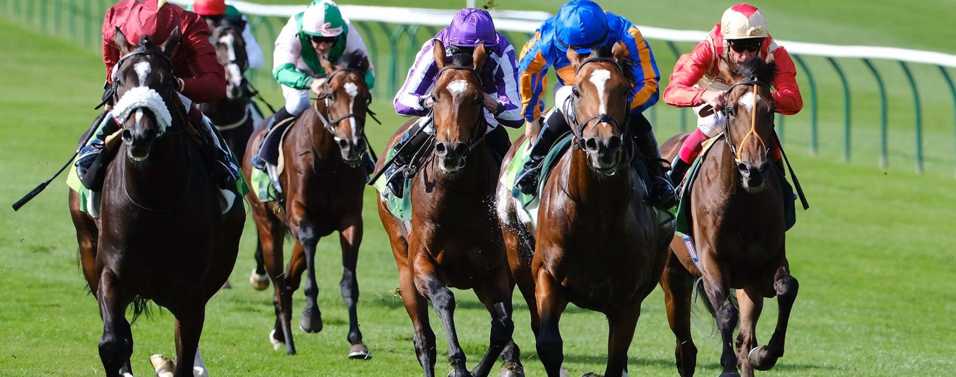 Racing at Rowley Mile