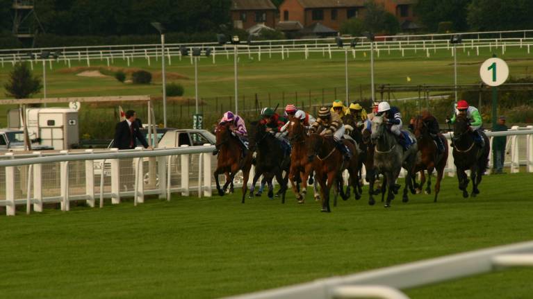 Brigadier Gerard Evening