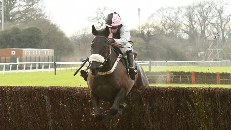 Oddschecker Four-legged Friend Race Day