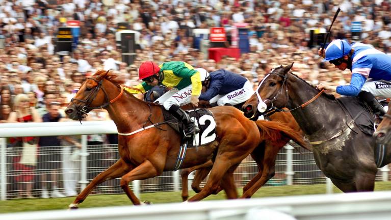 Sky Bet Ebor Festival