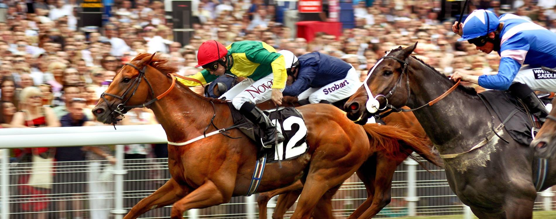 Racing at York's Ebor Festival