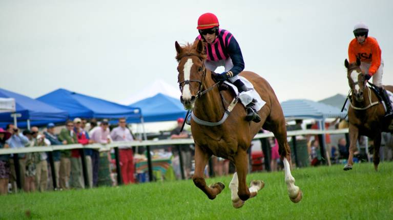 Cheltenham Preview Raceday