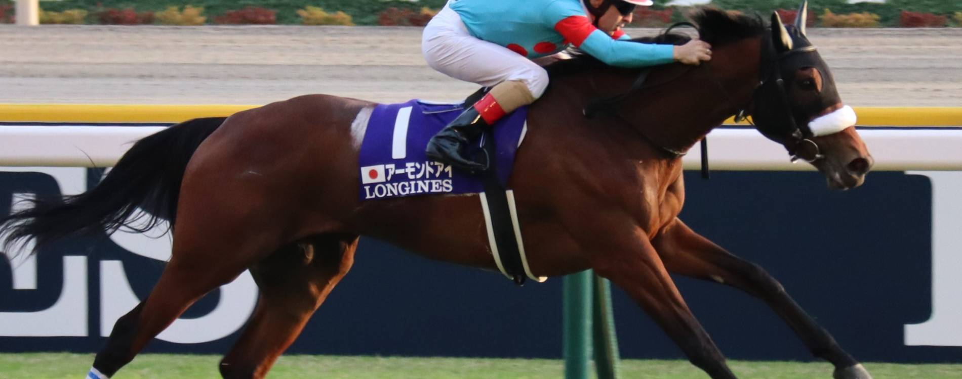 Racing in the Japan Cup