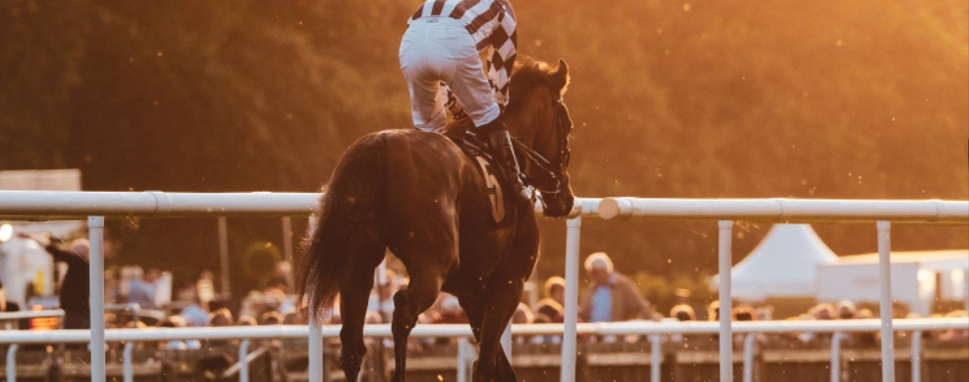 Racing in the sunset