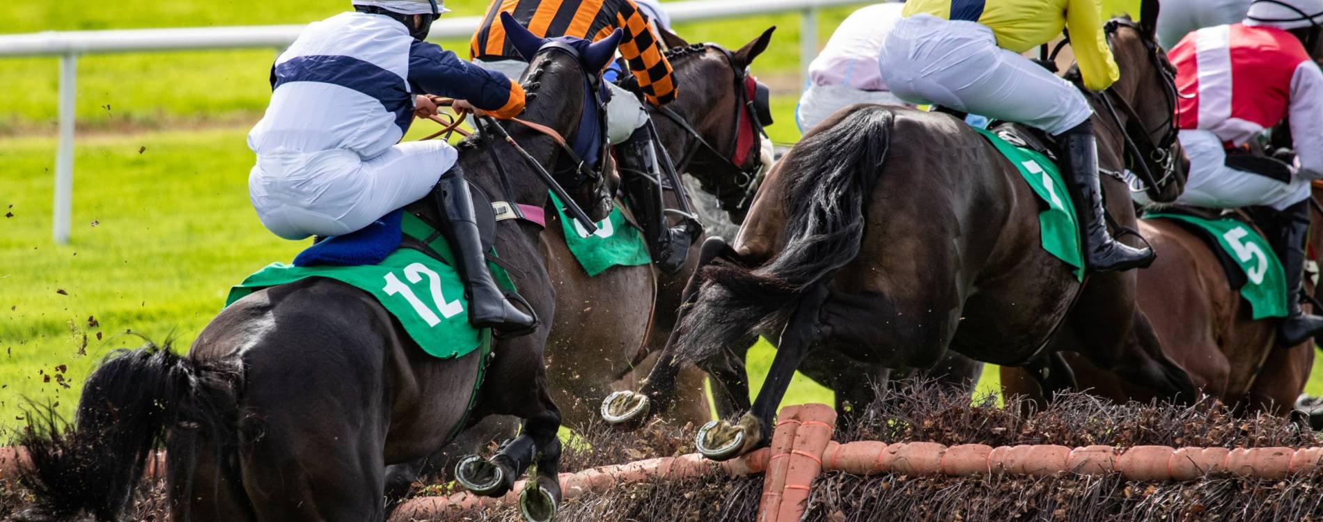 Racing jumps