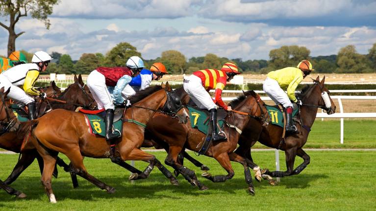 Ladies Day