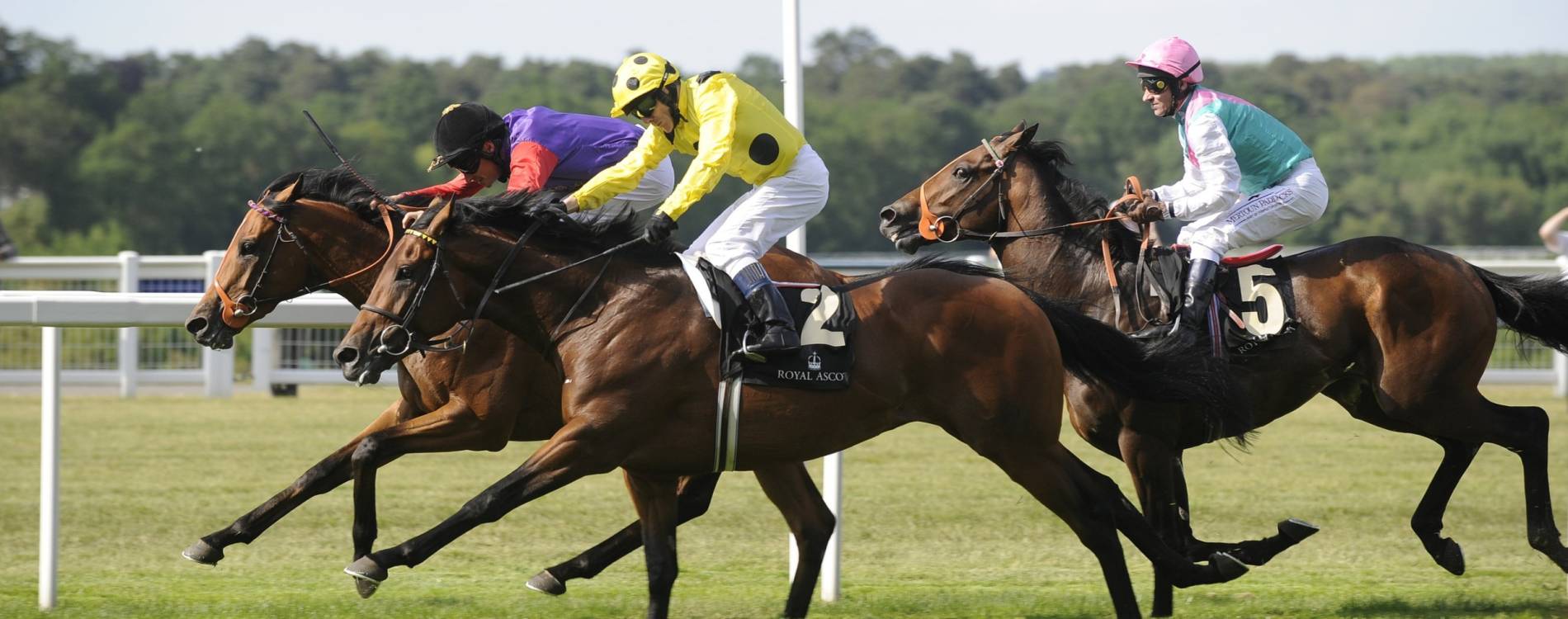 Racing to the finish