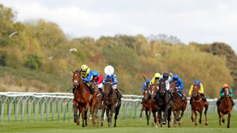 Shipstone's Wild West Raceday