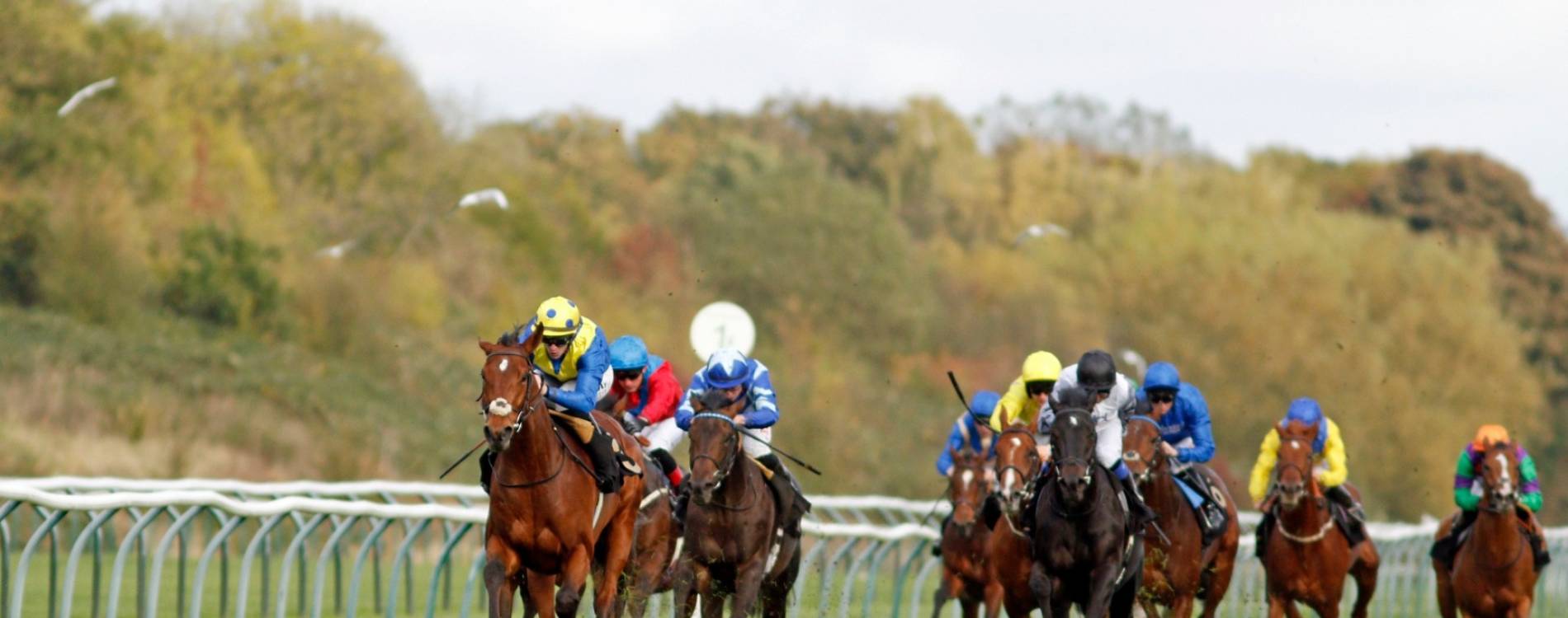 Racing to the finish at Nottingham