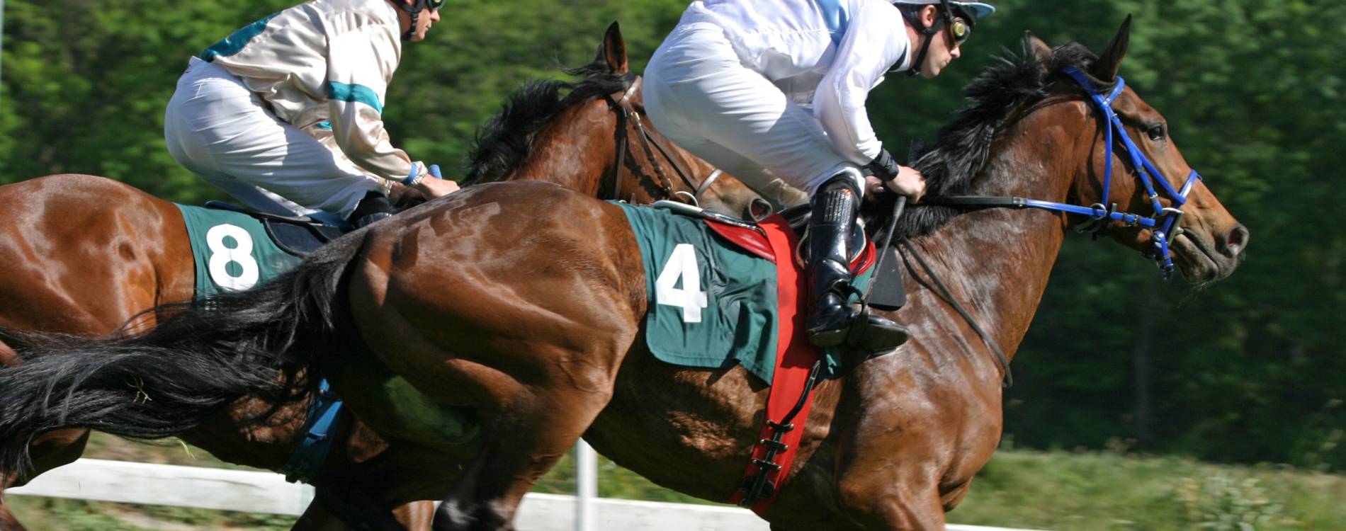 Ramsden Race Day