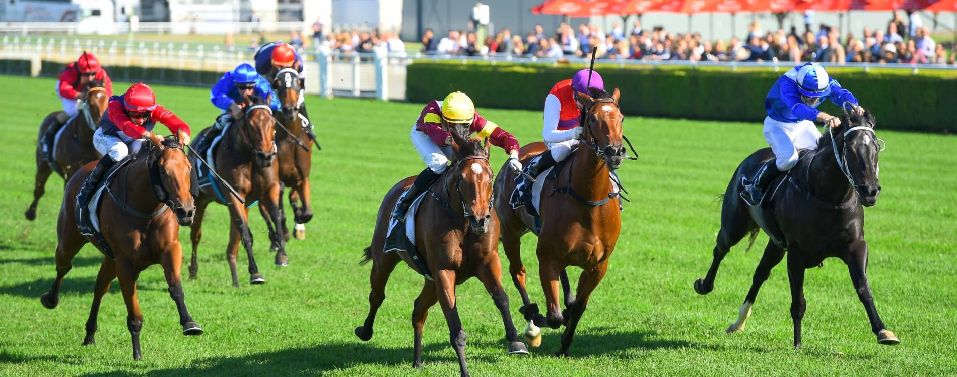 Randwick Raceday