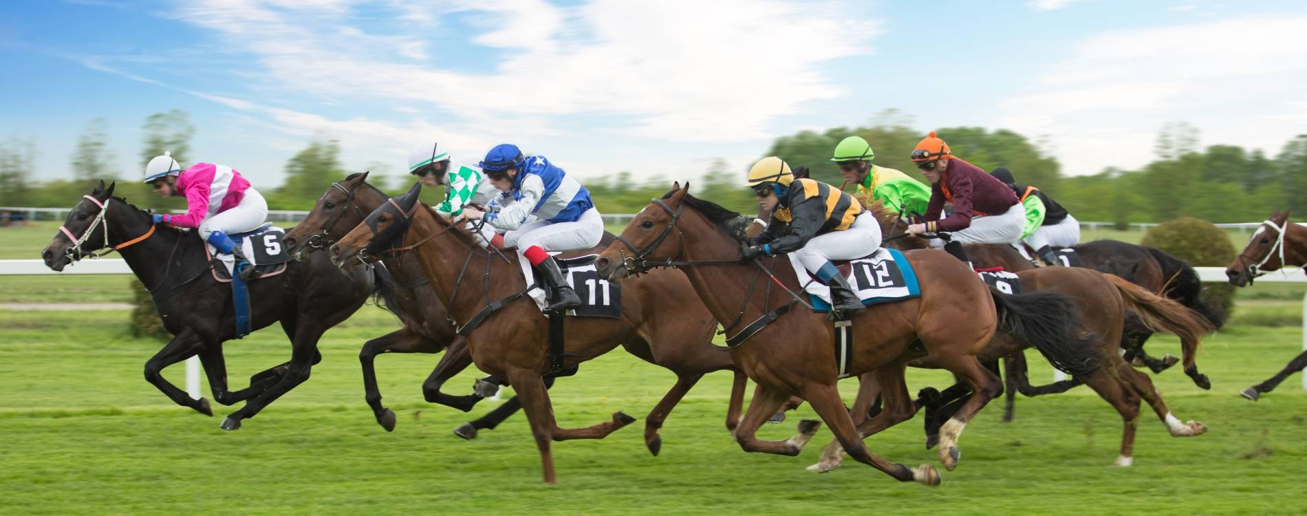 Randwick